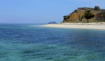 Kisah Pulau Babi di NTT, Dari Tsunami Menuju Keindahan Kembali