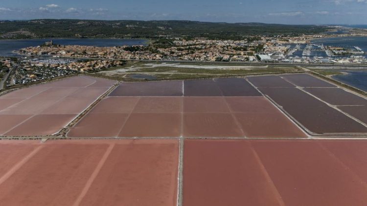 Ladang Garam Merah Muda Menawan di Gruissan Prancis