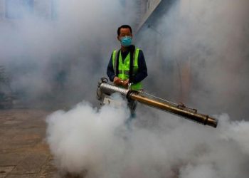 Teror Serangan Nyamuk Membunuh 3000 Orang Kota Menjadi Kuburan