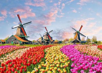 Ketakutan Belanda Terhadap Ancaman Kebangkrutan Karena Kebijakan Presiden RI