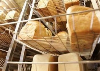 10 Jenis Makanan yang Perlu Dihindari oleh Penderita Asam Urat