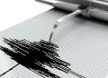 Gempa Susulan Magnitudo 4,9 Mengguncang Papua Lagi