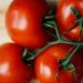 7 Manfaat Makan Tomat untuk Kesehatan Termasuk Menurunkan Tekanan Darah