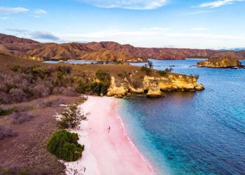 Pantai Pink Pulau Komodo Jadi Pantai Terindah di Dunia