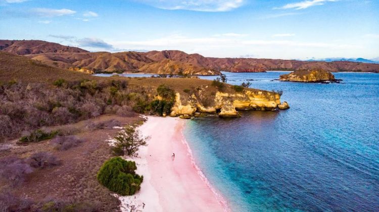 Pantai Pink Pulau Komodo Jadi Pantai Terindah di Dunia