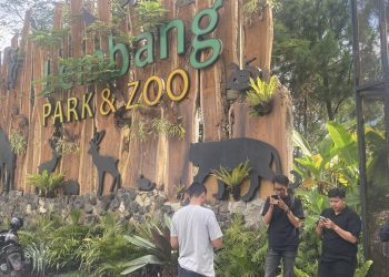 Kabar Macan Tutul Lepas Lembang Zoo Bandung Ditutup