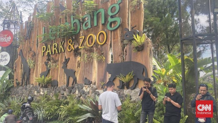 Kabar Macan Tutul Lepas Lembang Zoo Bandung Ditutup