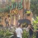 Kabar Macan Tutul Lepas Lembang Zoo Bandung Ditutup