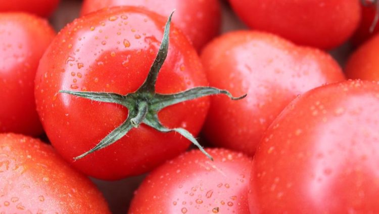 Apa Dampak Konsumsi Tomat Setiap Hari? Berikut Faktanya