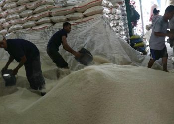 Harga Beras Naik, Medium Kenaikan Paling Drastis