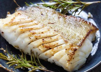 Hindari 10 Ikan Penuh Merkuri yang Bisa Merusak Otak Anda