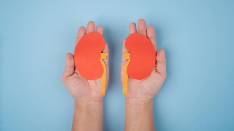 10 Tanda Awal Masalah Ginjal yang Perlu Diketahui Sebelum Terlambat