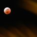Fenomena Super Blood Moon 7 September di Indonesia dan Cara Melihatnya