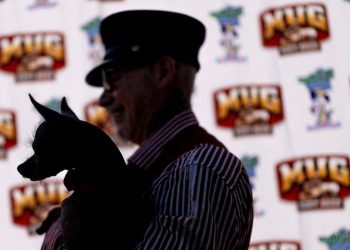 Kontes Anjing Terjelek, Merayakan Keberagaman Ketidaksempurnaan