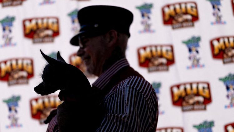 Kontes Anjing Terjelek, Merayakan Keberagaman Ketidaksempurnaan