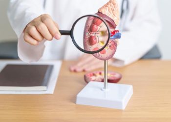 5 Jenis Air Rebusan untuk Kesehatan Ginjal dan Mencegah Penyakit