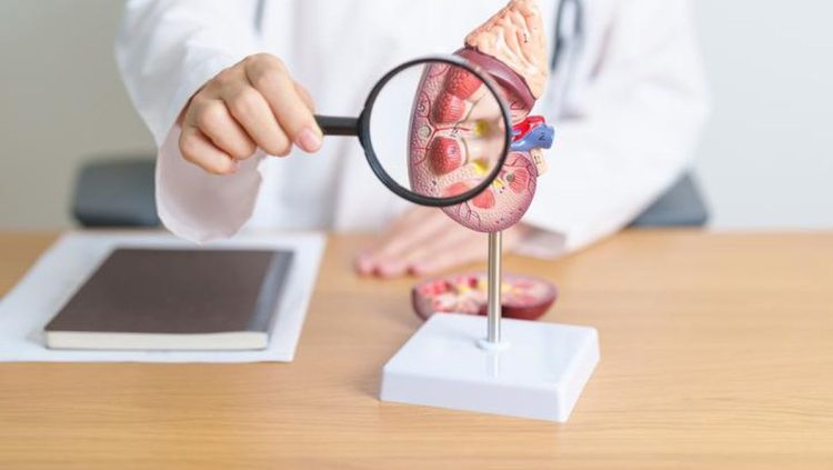 5 Jenis Air Rebusan untuk Kesehatan Ginjal dan Mencegah Penyakit