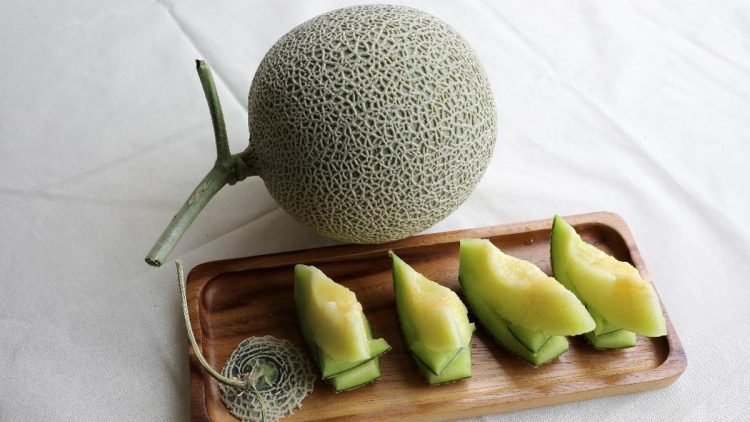 Manfaat Melon untuk Kesehatan Ginjal dan Mengeluarkan Racun Melalui Urine