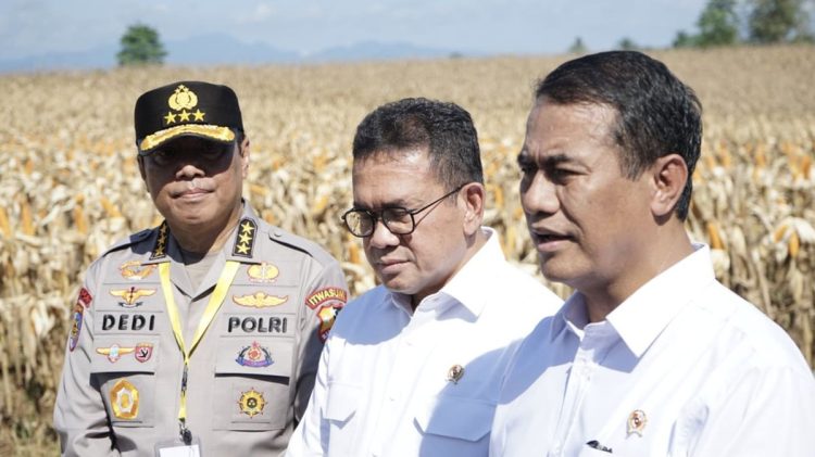 Beras Oplosan Menjadi Peluang untuk Usaha Penggilingan Kecil