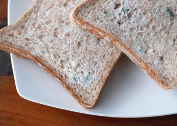 5 Efek Buruk Makanan Basi yang Sering Tak Disadari untuk Kesehatan Tubuh