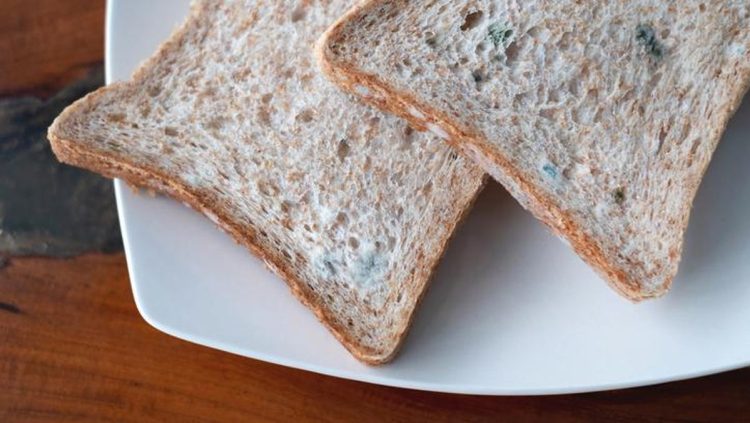 5 Efek Buruk Makanan Basi yang Sering Tak Disadari untuk Kesehatan Tubuh