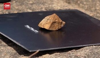 Temuan Batu Purba di Sulawesi Menunjukkan Jejak Manusia Hobbit