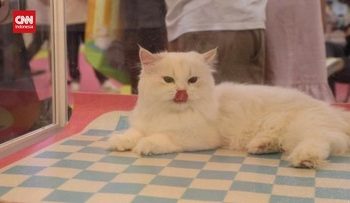 Pameran Teknologi Hewan Peliharaan di China