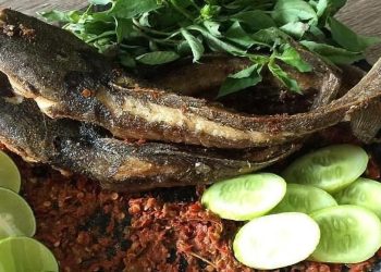 Menu Ekonomis, Inilah 5 Manfaat Mengonsumsi Ikan Lele Setiap Hari