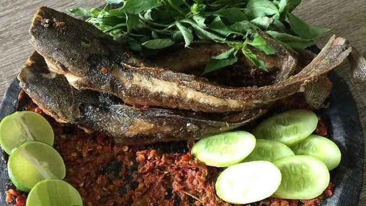 Menu Ekonomis, Inilah 5 Manfaat Mengonsumsi Ikan Lele Setiap Hari