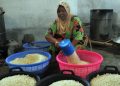 Nasi Jagung dan Kongbap, Solusi Cerdas untuk Beras yang Mahal dan Langka