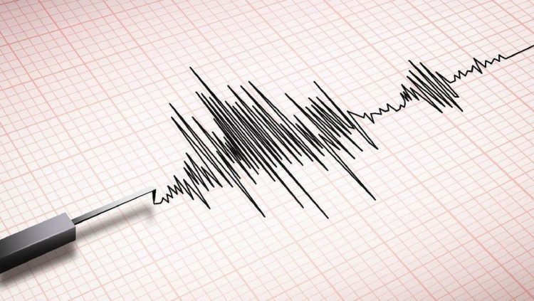 Gempa Magnitudo 5,3 Mengguncang Maluku Tenggara Tanpa Risiko Tsunami
