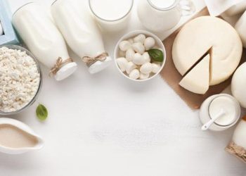 5 Produk Susu dengan Kalsium Tertinggi, Apakah Salah Satunya Sering Kamu Minum?
