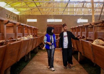 Setengah Juta Pengusaha UMKM Meningkat Kelas Berkat Penyaluran KUR