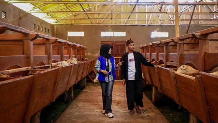 Setengah Juta Pengusaha UMKM Meningkat Kelas Berkat Penyaluran KUR