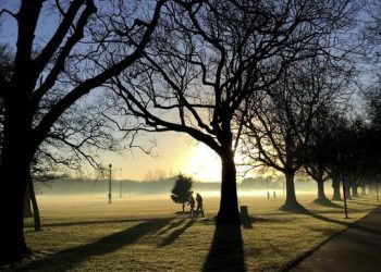 Pindah ke Selandia Baru Semakin Mudah Siapkan Uang Sejumlah Ini