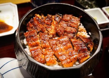 Dampak Makan Belut Setiap Hari Terhadap Tubuh Manusia