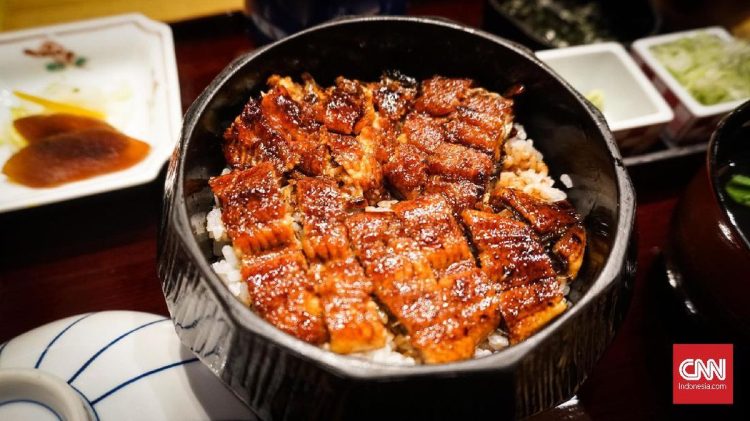 Dampak Makan Belut Setiap Hari Terhadap Tubuh Manusia