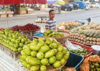 Manfaat KUR untuk Pedagang Nanas dalam Mengembangkan Produk Olahan