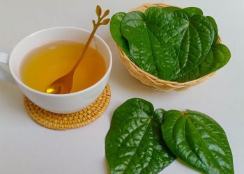 Manfaat Air Rebusan Daun Sirih untuk Multitasking dalam Kehidupan Sehari-hari