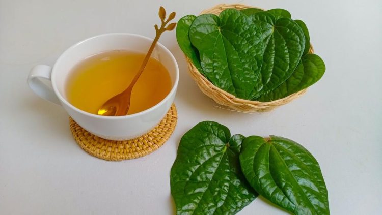 Manfaat Air Rebusan Daun Sirih untuk Multitasking dalam Kehidupan Sehari-hari