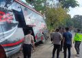 Kecelakaan Bus Nakes Jember di Bromo, Ingat Pentingnya Sabuk Pengaman