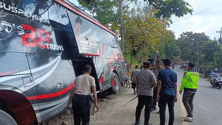 Kecelakaan Bus Nakes Jember di Bromo, Ingat Pentingnya Sabuk Pengaman