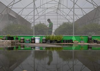 Jelajahi Green House di Pasar Mayestik