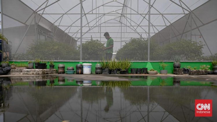 Jelajahi Green House di Pasar Mayestik