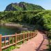 Pulau Jeju Tindak Turis Asing yang Berperilaku Buruk