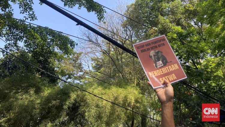 Pekerja Bandung Zoo Gelar Demo Tuntut Pembukaan Kebun Binatang