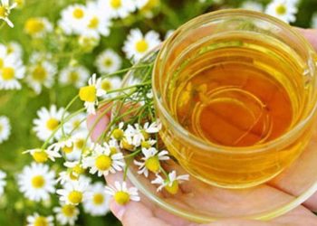 6 Obat Alami untuk Sakit Perut dengan Teh Peppermint yang Mudah Diseduh