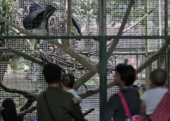 Wisata Malam Ragunan dengan Petugas Satpol PP Siaga