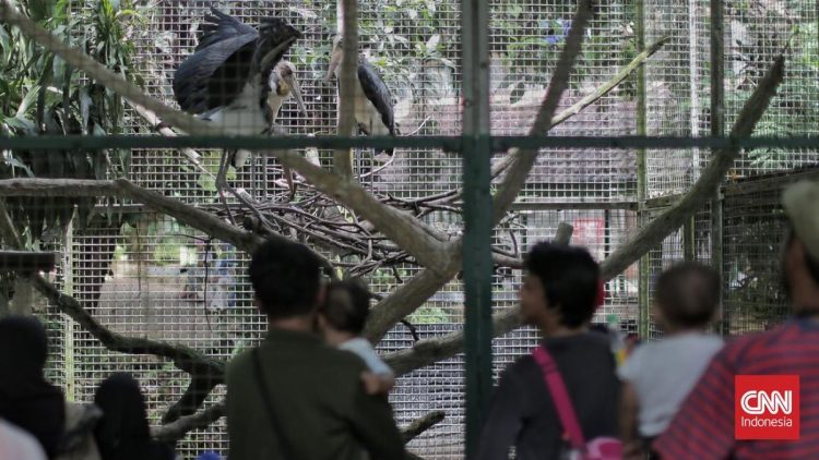 Wisata Malam Ragunan dengan Petugas Satpol PP Siaga
