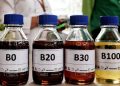 Pemerintah Implementasikan Biodiesel B50 Mulai Semester II Tahun 2026